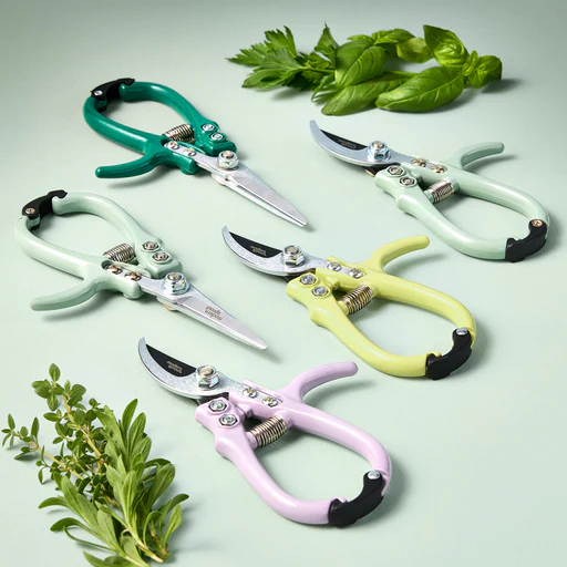 Gardening Pruners 1pk - Lavender