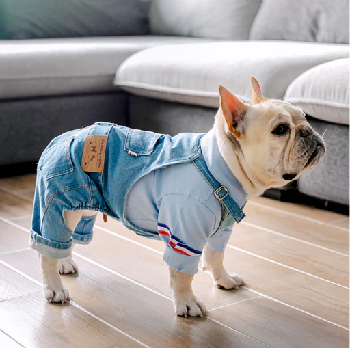 Jean Overalls Clothes Jeans Jumpsuit For French Bulldog