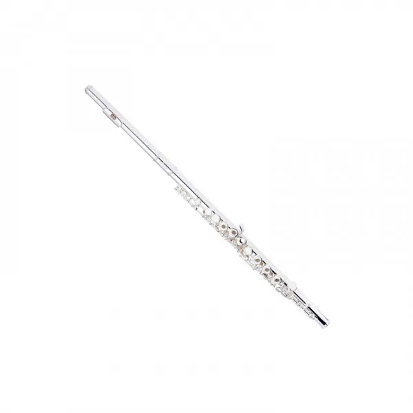 Stagg Fl241s Flute