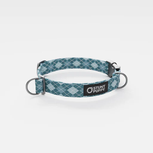 Argyle Wildberry Everyday Collar