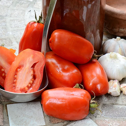 San Marzano - Grafted Transplant/ships First Half Of April Sold Out