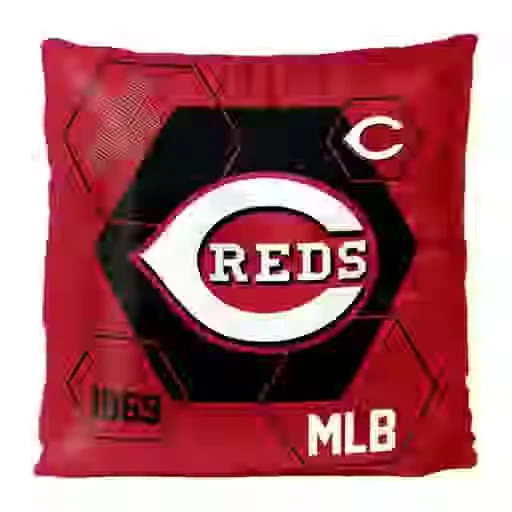 Reds Velvet Reverse Pillow