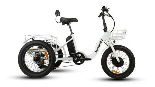 New-trike E-bike