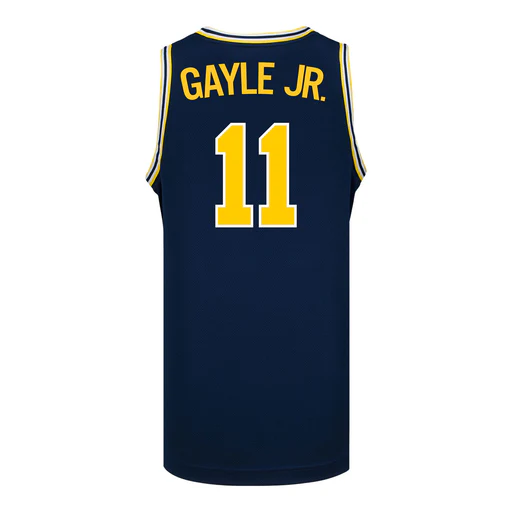 Michigan Wolverines #11 Roddy Gayle Student Athlete Blue Basketball Jersey