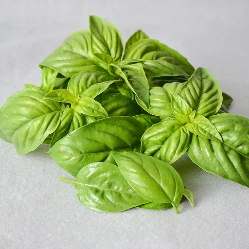 Sweet Basil - Transplant/ships First Half Of May