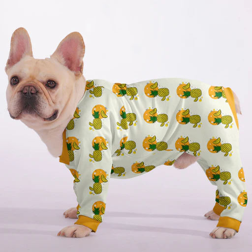 Daisy - Frenchie Pajama - 3xl