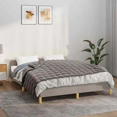 Vidaxl Weighted Blanket Grey Polyester 59.1 X 78.7 In