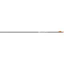Easton 5mm Axis Sport Arrows 200 2 In Bully Vanes 6 Pk 731116